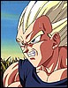 tnvegeta69.jpg