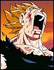 tnvegeta71.jpg