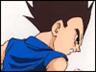 vegetajr.jpg