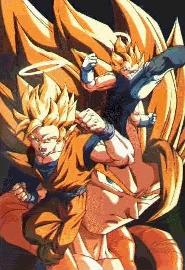 vggogeta.jpg